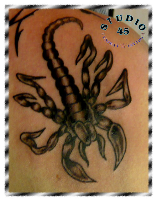 Skorpion Schulter Tattoo Black and Grey Recklinghausen STUDIO 45